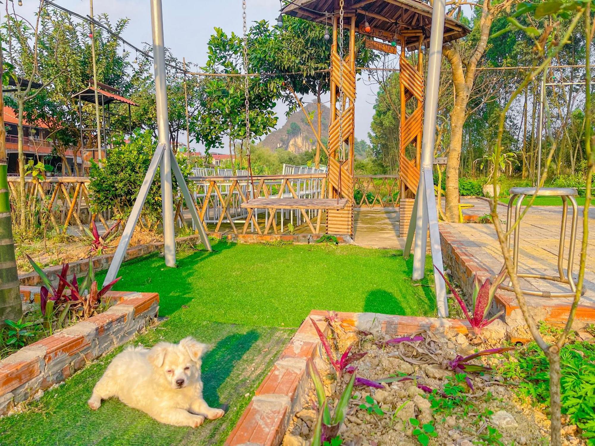 Trang An Quynh Trang Happy Homestay & Garden Ninh Binh Exterior foto