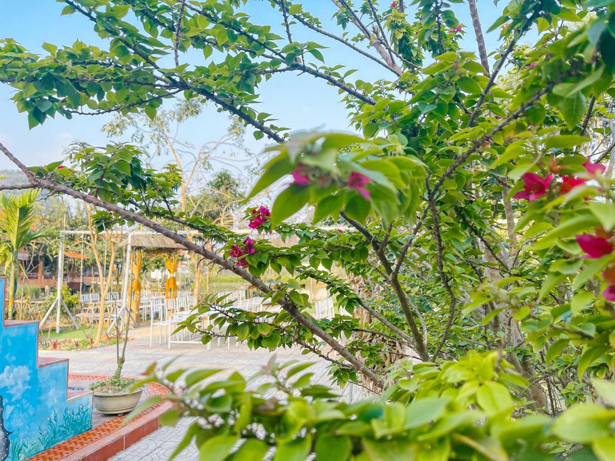 Trang An Quynh Trang Happy Homestay & Garden Ninh Binh Exterior foto